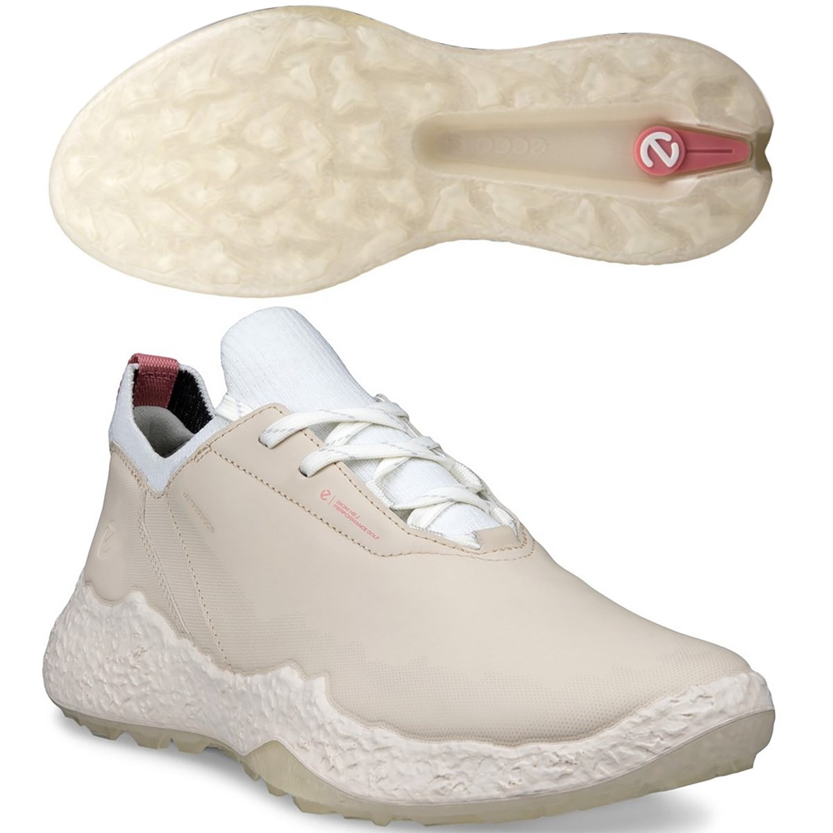 [2025�N���f��] ecco �G�R�[ BIOM H5 �V���[�Y ���C���X�g�[�� ���f�B�[�X