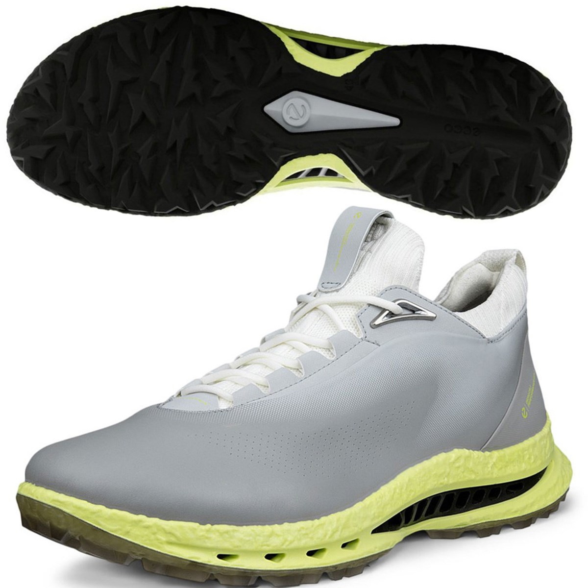 [2026�N���f��] ecco �G�R�[ BIOM C5 �V���[�Y ���C���h�_�� �����Y